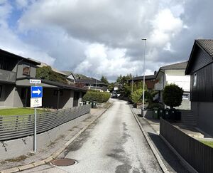 Buesvingen Kristiansund 2026.jpg