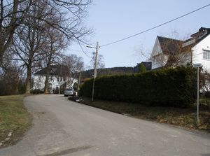 Bueveien Oslo 2015.jpg