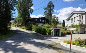 Bukken Bruses vei.JPG