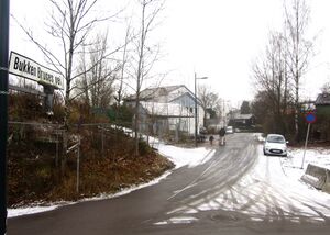 Bukken Bruses vei Oslo 2014.jpg