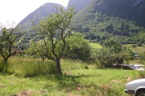 Busetjing på Grundeland.jpg