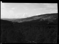 15. Bygd bak skog - no-nb digifoto 20150226 00161 NB MIT FNR 00199.jpg