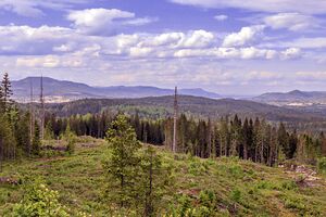 Bygdeborg Borstadkampen 240519.jpg