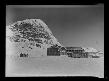 Bygdin - no-nb digifoto 20160503 00178 NB MIT FNR 06799 A.jpg