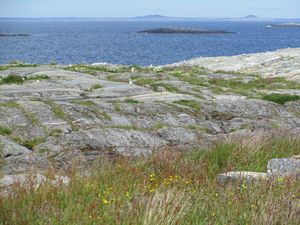 C02043 Kuliberga.jpg