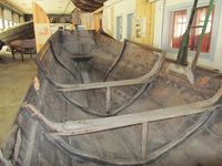 Fjordamerra (1842) Foto: Olve Utne (2011).