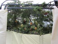 34. C04884 sekhakh.jpg