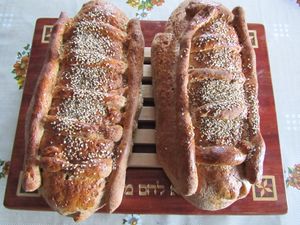 C09137 Hallot sjabungot.jpg