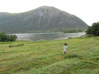 169. C09548 hesjing.jpg