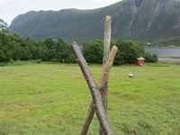 Hesjing i 2013. Foto: Olve Utne