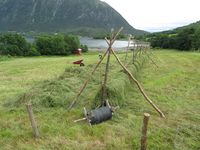 162. C09561 hesjing.jpg