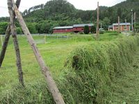 163. C09566 hesjing.jpg