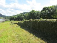 178. C09593 hesjing.jpg