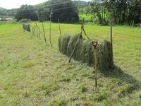 C09629 hoyberging.jpg