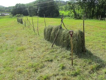 C09629 hoyberging.jpg