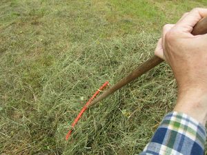 C09637 hoyberging.jpg