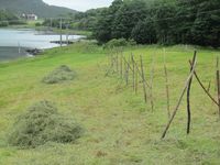 197. C09641 hoyberging.jpg