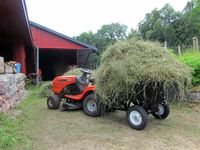 199. C09643j hoyberging.jpg