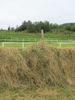 201. C09651 hesjing - Golma.jpg