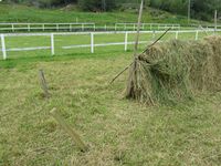 203. C09654 hesjing - Golma.jpg