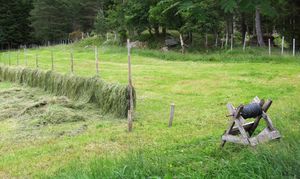 C09657crj hesjing - Leira.jpg