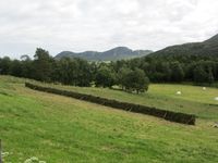 208. C09665 hesjing - Baggan.jpg