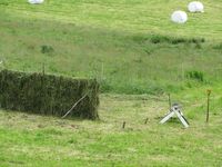 209. C09666 hesjing - Baggan.jpg