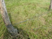 212. C09673 hesjing.jpg