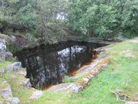 226. C09713 Lervaag bnr 3.jpg