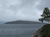 228. C09738 Kraakoeya (Aure).jpg