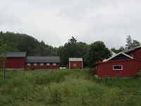 236. C09750 Joerenvaagen.jpg