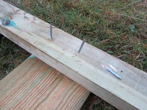 C11205 grindsnekring.jpg