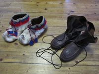 273. C11436 skallar og komagar.jpg