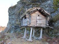 Buvrie frå Vetterhusbotn i Namdalen. Foto: Olve Utne (2014).