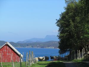 C13254 Solskjelsøygarden - NKS.jpg