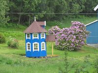 298. C13311 Mumihus Skardsøya.jpg