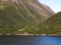 238. C13485j Fjelnesdalen.jpg