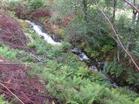 Sagelva eller Kvennabekken. Foto: Olve Utne (2014).