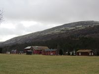 25. C14890 Nordigarden Holoyen.jpg