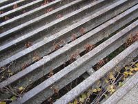 86. C14893 Sorigarden Holoyen - ferist.jpg