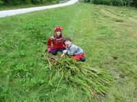 292. C17097s glade ungar med høymolfangsten sin.jpg