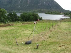 C17188 tom hesje.jpg