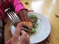 170. C17298 sikburger på Bryggeloftet i Elgå.jpg