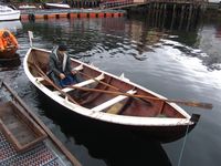 195. C18127 nordmørslystring.jpg