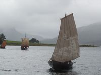 231. C18288 snidbetning.jpg