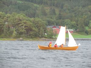 C18353 oselvar med sprisegl.jpg