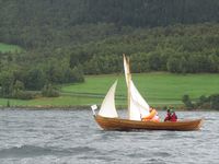 220. C18378 bjørkedalsfæring.jpg