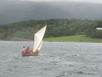 222. C18396 bjørkedalsfæring.jpg