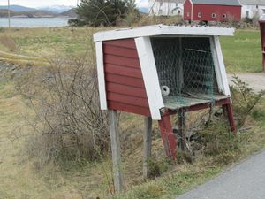 C19800 mjøkramp 209 Tustna.jpg