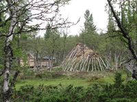 453. C22236 Daniel Mortensons buplass.jpg